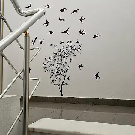 Door *